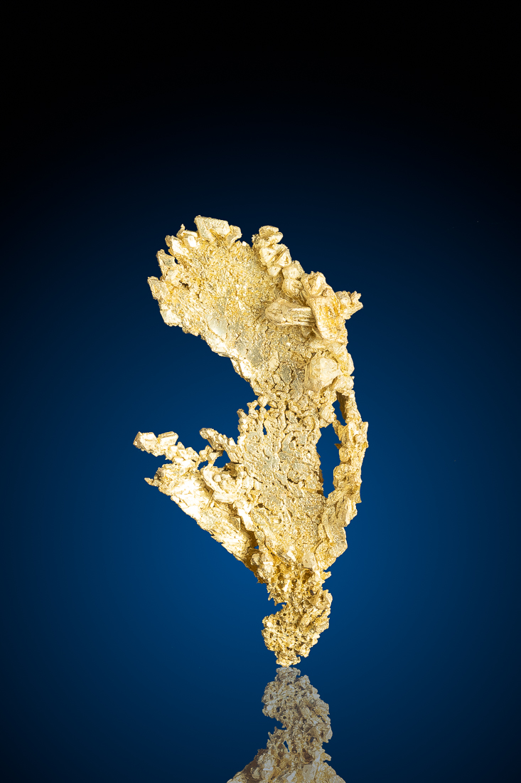 (image for) Sharp Trigon Crystals on this Natural Gold Crystal from Round Mountain Gold Mine, NV